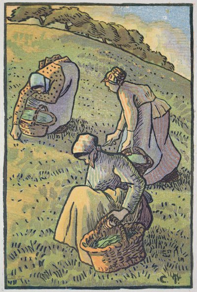 Women Gathering Mushrooms, from 